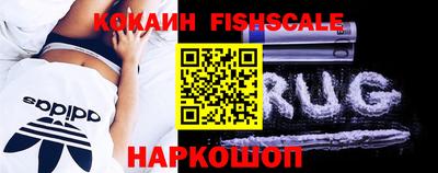 гидра Новозыбков