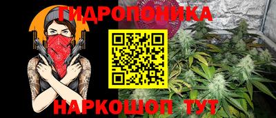 спайс Новодвинск