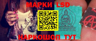 гидра Новозыбков