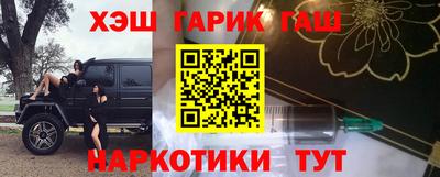 гидра Новозыбков