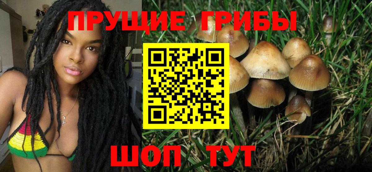 Псилоцибиновые грибы Psilocybine cubensis  закладка  Вход с VPN  Дятьково  Псилоцибиновые грибы ЛСД 