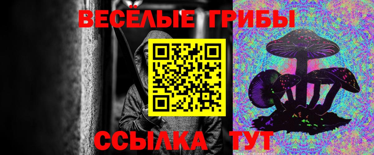 Галлюциногенные грибы Psilocybine cubensis Дятьково